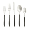 Velo Two-Toned Flatware, 5-Piece Set