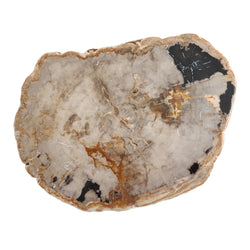 Product Image for Fortessa 20